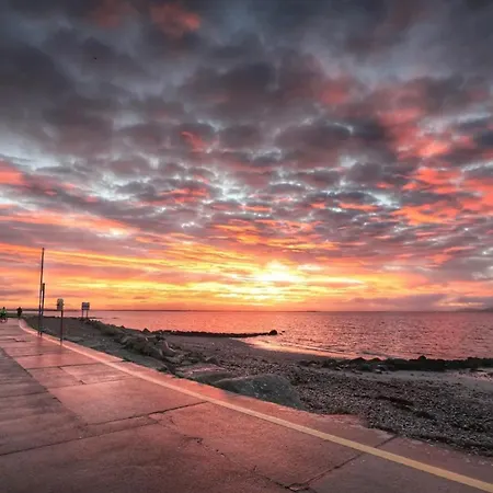 Seaside Garden Sanctuary * Galway