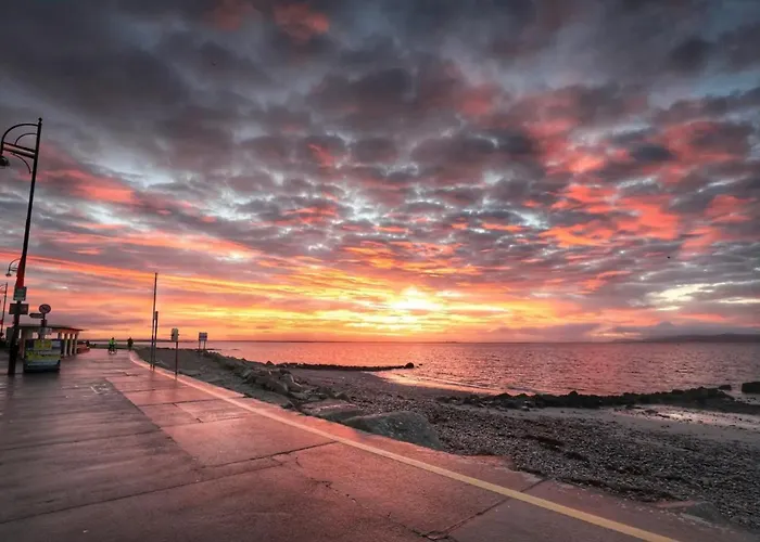Seaside Garden Sanctuary * Galway